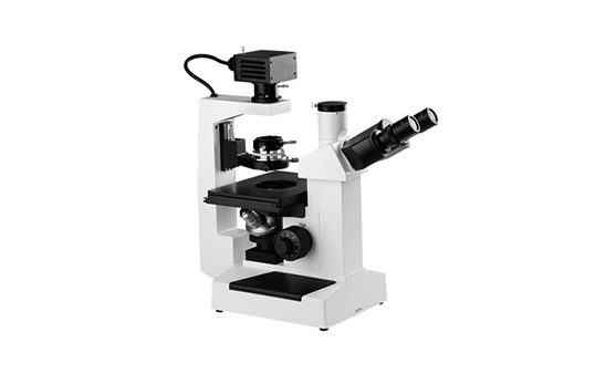 Biological Microscope